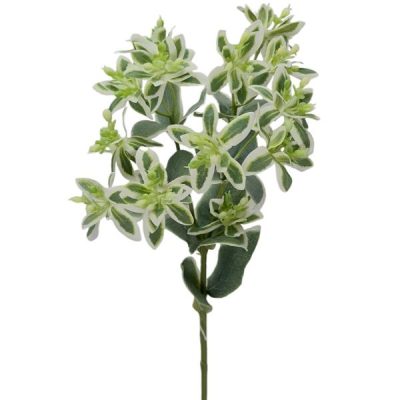 Variegated Spurge Spray – 50Cm / Green/White  |  Artificial Greenery Bushes Artificial Greenery Bushes Artificial Greenery Bushes