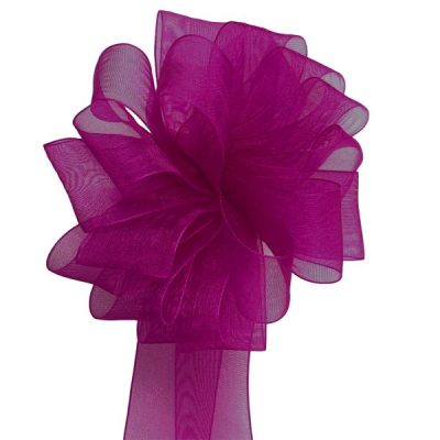 Woven Edge Organza Ribbon – 25Mm X 50Mts / Purple  |  Ribbon – Organza Ribbon - Organza Purple