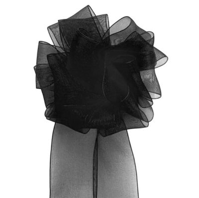 Woven Edge Organza Ribbon – 38Mm X 50Mts / Black  |  Ribbon – Organza Ribbon - Organza Black