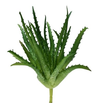 Aloe Vera Succulent (Real Touch) – 22Cmh / Green  |  Artificial Succulents Artificial Succulents Artificial Succulents