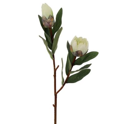 Artificial Protea W/Bud Spray – 71Cml / White  |  Artificial Native Flowers Artificial Flowers Artificial Native Flowers