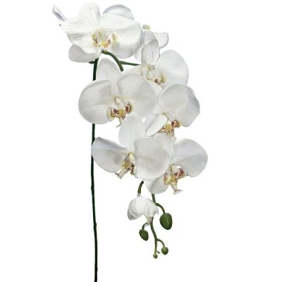 Cora Artificial Phalaenopsis Orchid Stem – 100Cml / White  |  Artificial Orchids Artificial Flowers Artificial Orchids